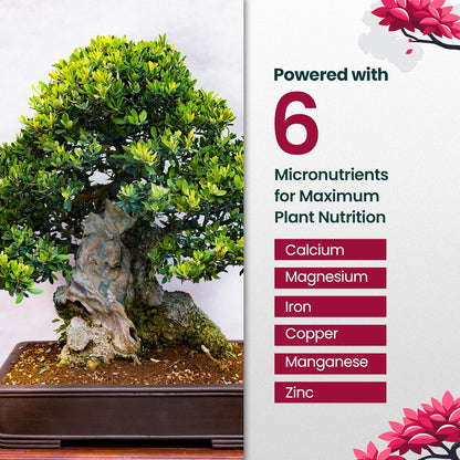 16oz Bonsai Tree Live Liquid Plant Food - Makes 32 Gallons of Bonsai Fertilizer Liquid, Premium Macronutrient Formula Enriched with Micronutrients for Healthy Roots, Branching & Foliage