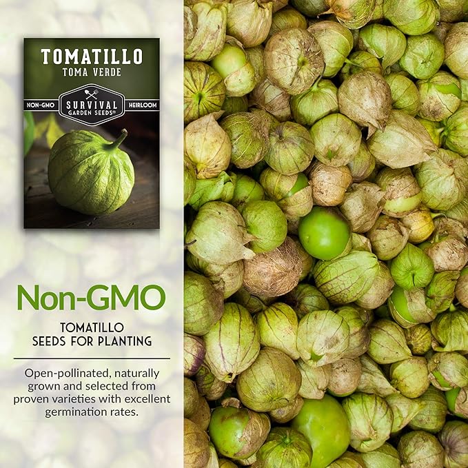 Survival Garden Seeds - Toma Verde Tomatillo Seed for Planting - 2 Packs with Instructions to Plant & Grow Green Salsa Vegetables in Your Home Vegetable Garden - Non-GMO Heirloom Variety Salsa Seeds