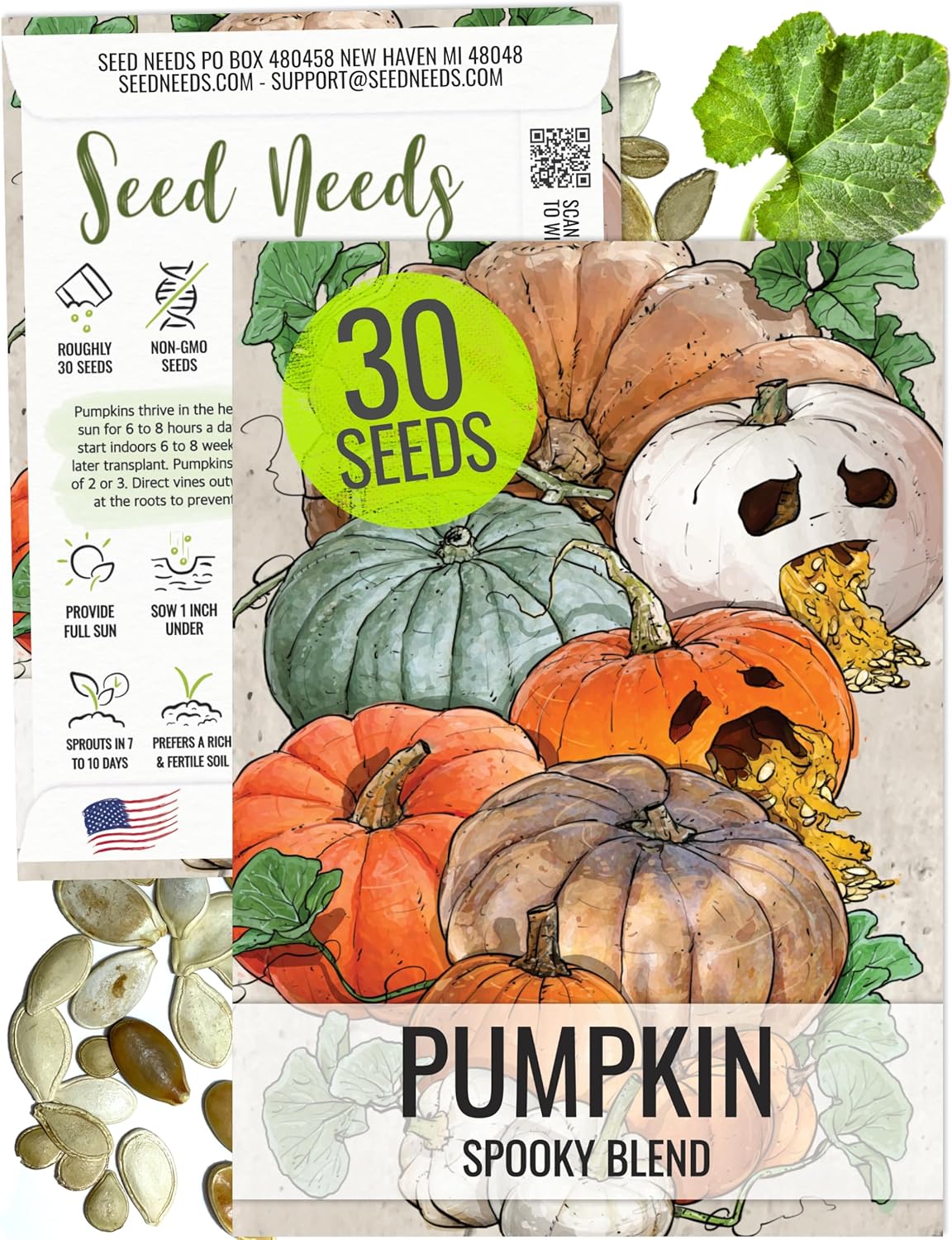 Seed Needs Spooky Blend Pumpkin Seeds - 30 Heirloom Seeds for Planting (Lumina White, Jack O Lantern, Baby Boo, Blue Jarrahdale, Cinderella & More!) Non-GMO & Untreated (1 Small Pack)