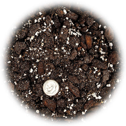 Gardenera Professional Succulent Soil Premium All Purpose Blend | Pre-Mixed Ready to Use for Cactus and Succulents | Sphagnum Peat Moss, Perlite, New Zealand Pine Bark - Made in USA - 4 Quart