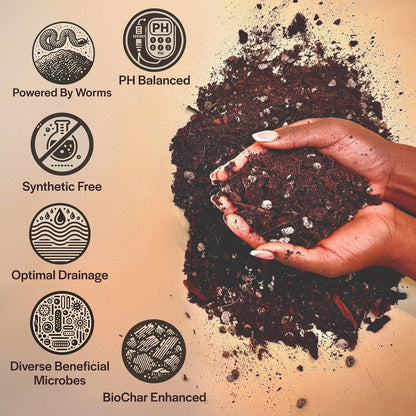 Craft Aroid Potting Mix- Elite Organic Alocasia, Philodendron, Monstera Soil Mix, Chunky, Well Draining Potting Soil for Indoor Plants, All Tropical Plants & Houseplants, Sustainable & Peat Free 8QT