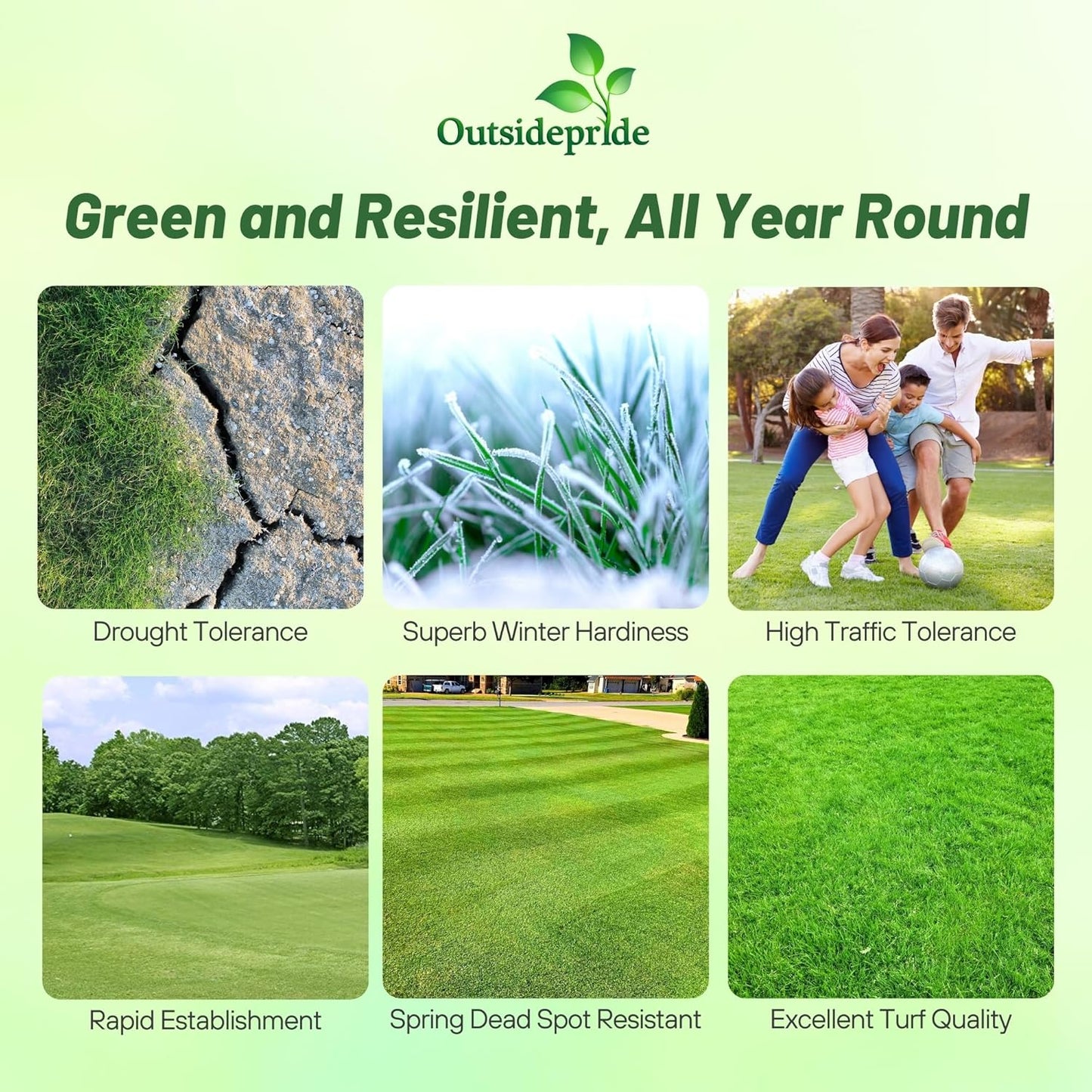 Outsidepride Yukon Bermuda Grass Seed - 5 lbs Cold & High Traffic Tolerant, Premium Hybrid Bermuda Turf Grass Seeds for Lawn, Ideal Low Maintenance Seed Grass for Colder & Challenging Area