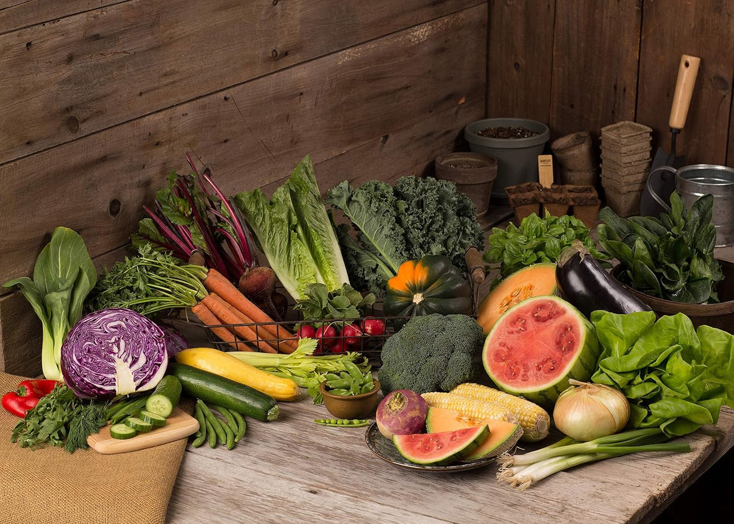 Vegetable and Herb Seeds Variety Pack for Home Garden Planting, AB