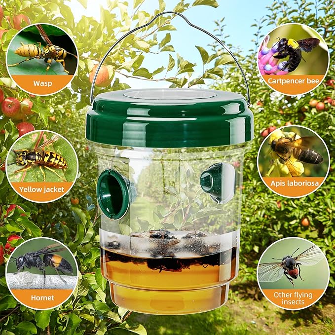 Wasp Traps Outdoor Hanging 4 Pack
