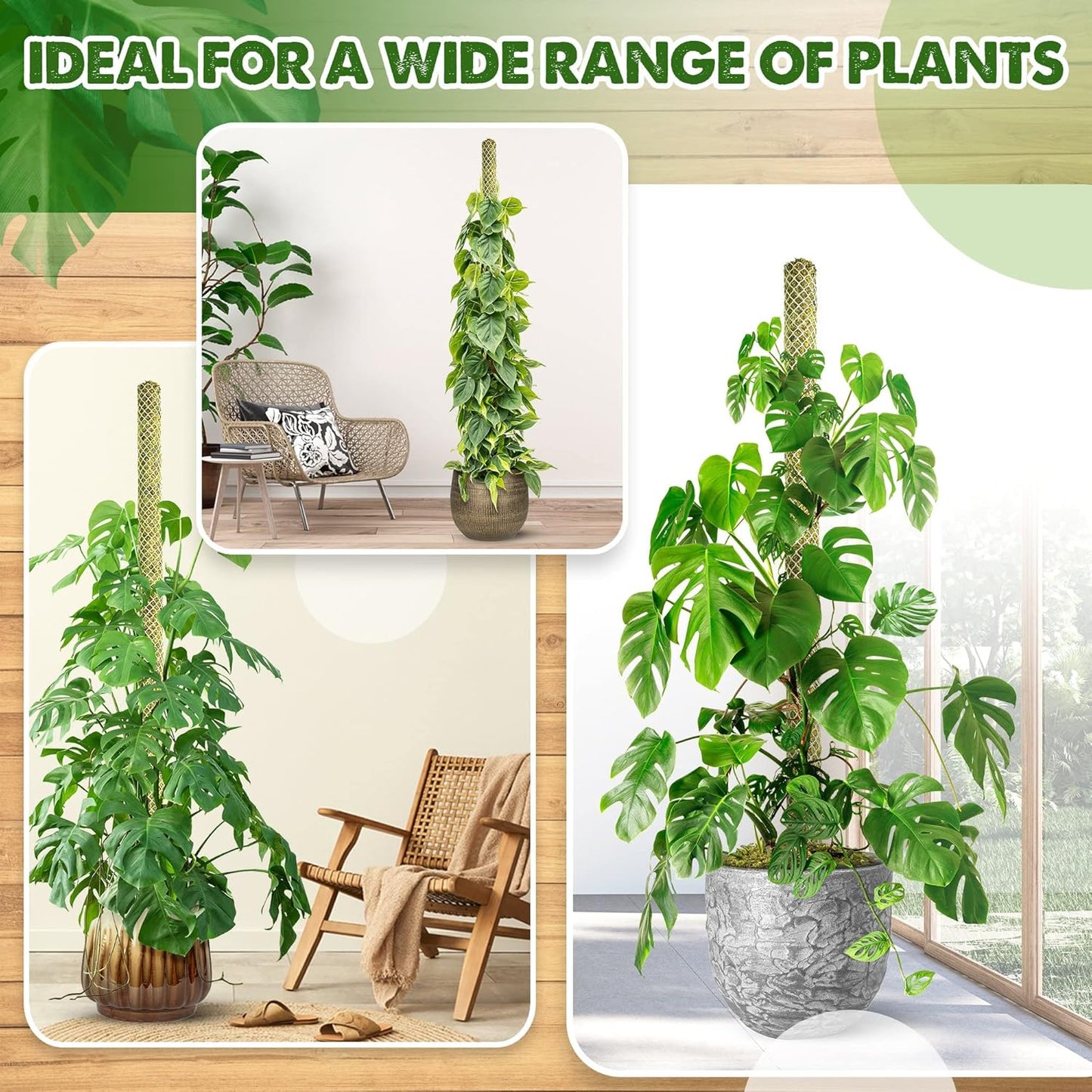 DUSPRO Stackable Mesh Moss Pole for Plants Monstera Potted Plant Stakes for Indoor Plants Extendable Plant Pole Moss Sticks for Plants Climbing Vine Supporting Monstera Trellis 4Pack 71''