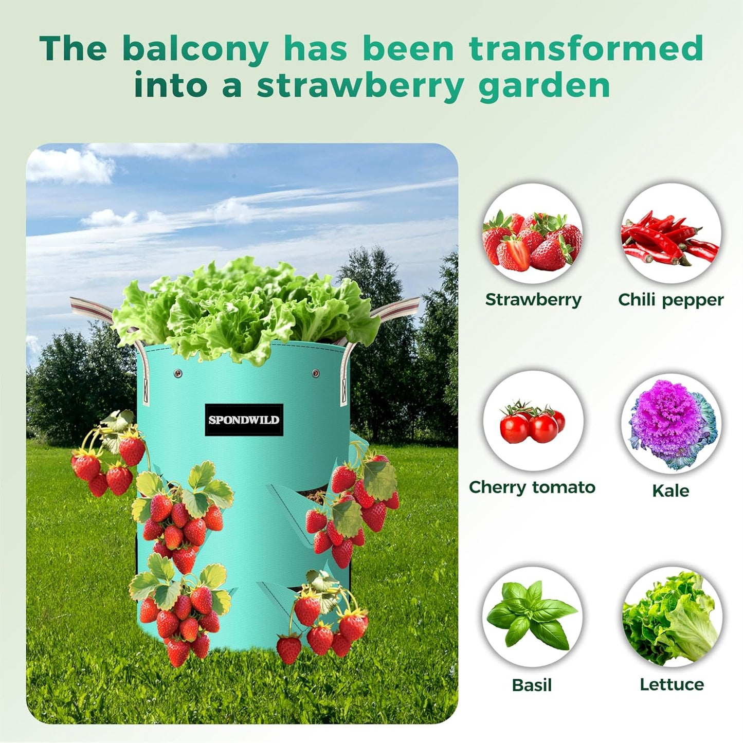 3 Pack 10 Gallon Strawberry Grow Bags, Heavy Duty Reusable PE Pots with Breathable Window, Branch & Drainage Holes, Reinforced Handles for Strawberries, Veggies, Flowers, Balcony/Patio Use