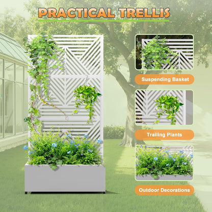 Metal Raised Garden Bed with Trellis, 2-in-1 Planter Box & Privacy Screen for Climbing Plants, Outdoor Standing Flower Bed with Drainage Holes, 35.4" L x 15.7" W x 70.1" H, White-Zodiac