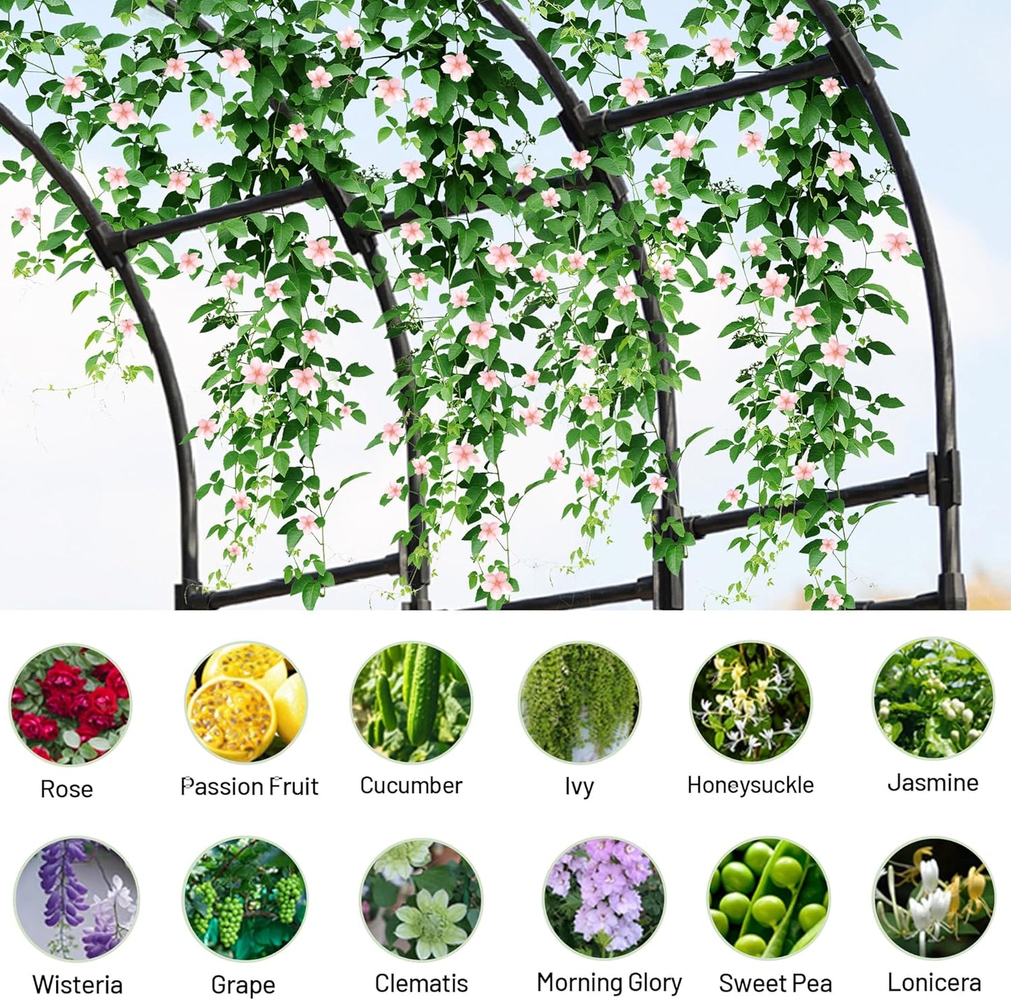Twira Half Side Garden Arch Trellis, 7.9FT Metal Arbor Trellis for Climbing Plants Outdoor, Black Half Arch Wedding, Garden Archway Arbors and Trellises Decoration for Lawn, Patio, Backyard