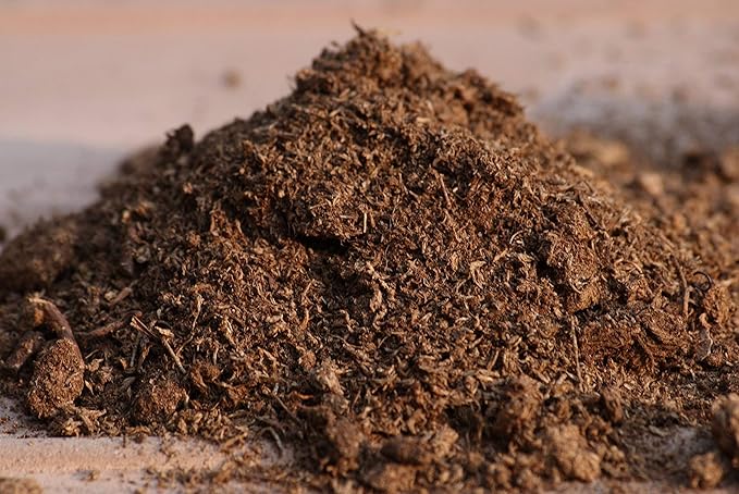 Sphagnum Peat Moss for Gardening (2 Quart)