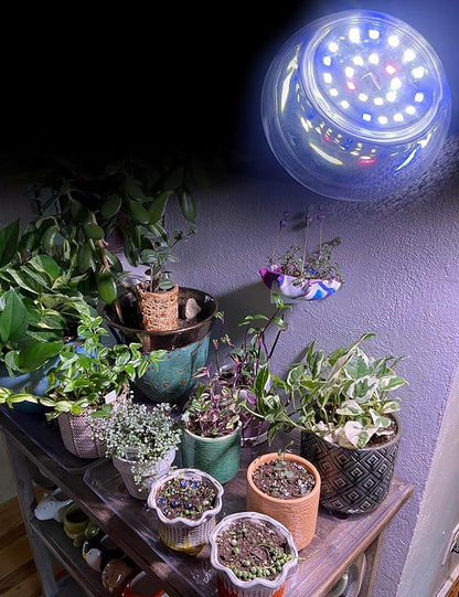 Grow LED Light Bulbs Full Spectrum, E12 12W Small Candelabra Sun Plant Bulbs 100w Equivalent, Balanced Spectrum 5000K Blue Red for Flowers,Seed Starting,Indoor Growing,6Pcs
