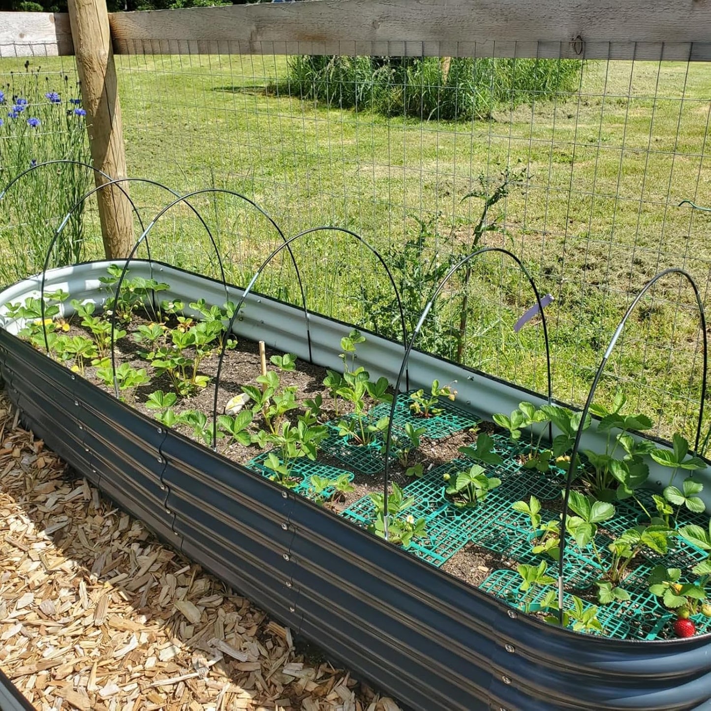 Greenhouse Hoops Grow Tunnel, 5 Sets of 7FT Garden Hoops for Raised Beds, Rust-Proof Fiberglass Frame for Garden Netting, Greenhouse Kit, Plant Shade Cloth, Plant Row Cover, 25 pcs