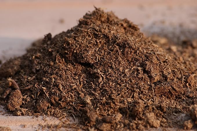Sphagnum Peat Moss for Gardening (1 Quart)