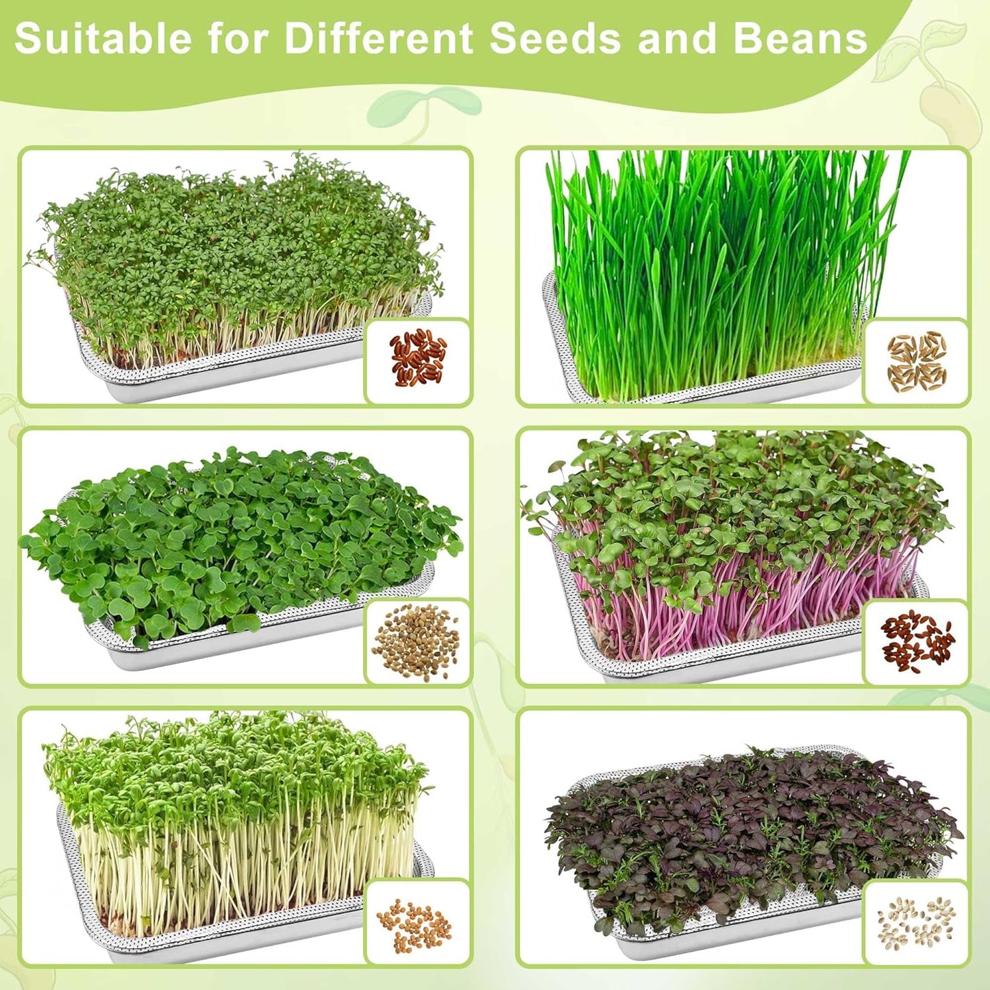 Stainless Steel Sprouts Growing Kit 3-Tier 14 inch Trays, Microgreens Growing Kit, Seed Sprouting Tray with Encrypted Mesh Sprouts for Beans Alfalfa Broccoli Wheat Grass