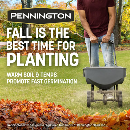 Pennington Kentucky 31 Tall Fescue Penkoted Grass Seed 40 lbs