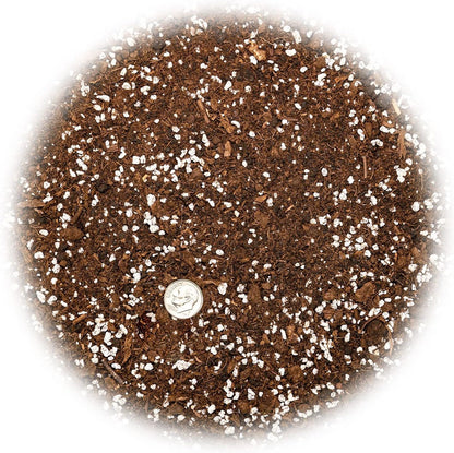 Gardenera Premium House Plant and Tropical Plant Potting Soil - Re-Potting Soil for All Types of Indoor House Plants - 4 Quart