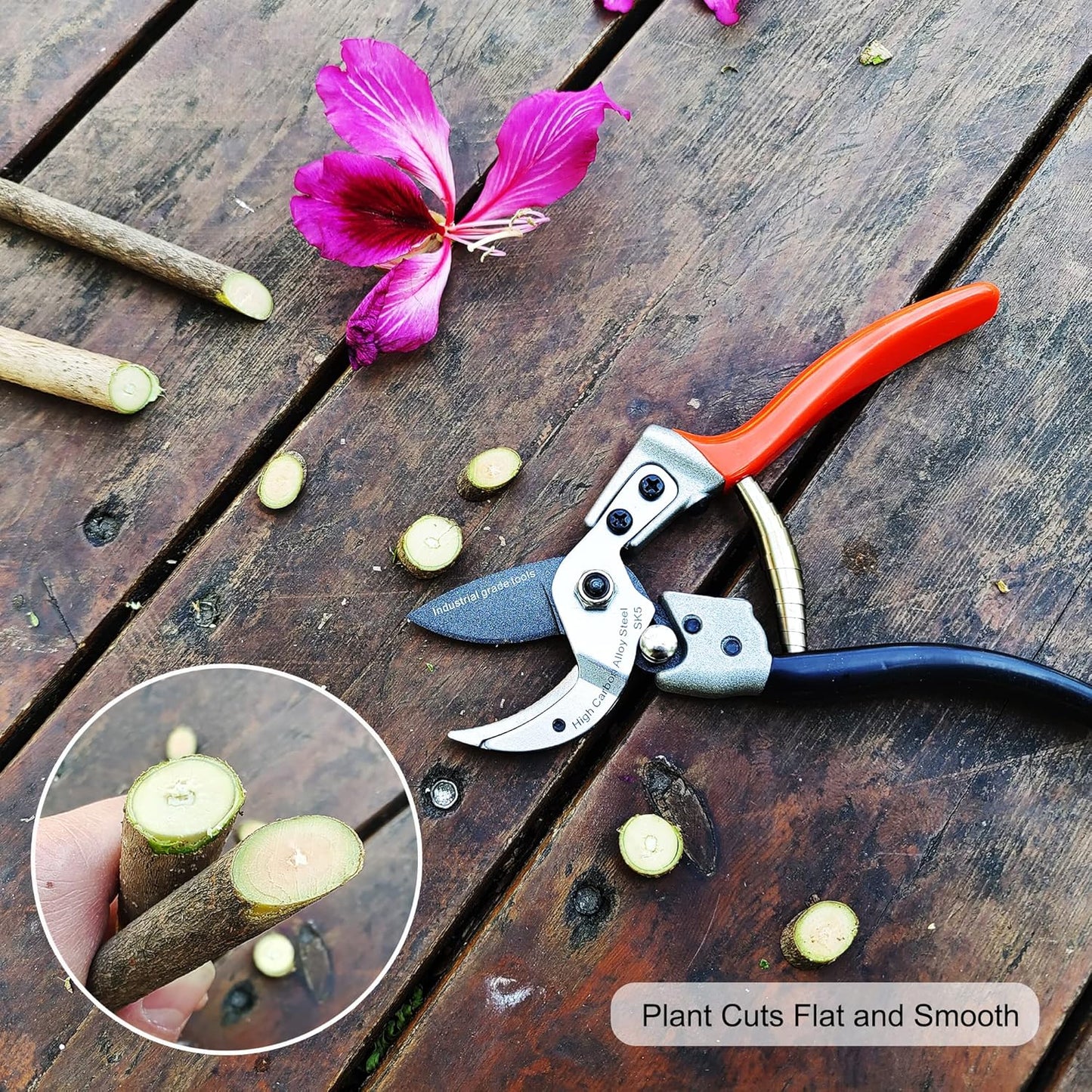 TONMA Anvil Pruning Shears [Made in Japan] Professional 8 Inch Heavy Duty Garden Shears Secateurs with Ergonomic Handle, Japanese Hand Pruners for Plants Thick Stems Dead Branches
