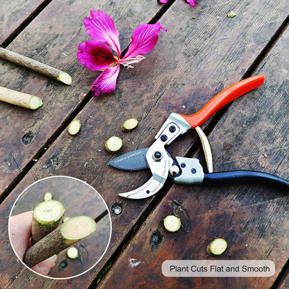 TONMA Anvil Pruning Shears [Made in Japan] Professional 8 Inch Heavy Duty Garden Shears Secateurs with Ergonomic Handle, Japanese Hand Pruners for Plants Thick Stems Dead Branches