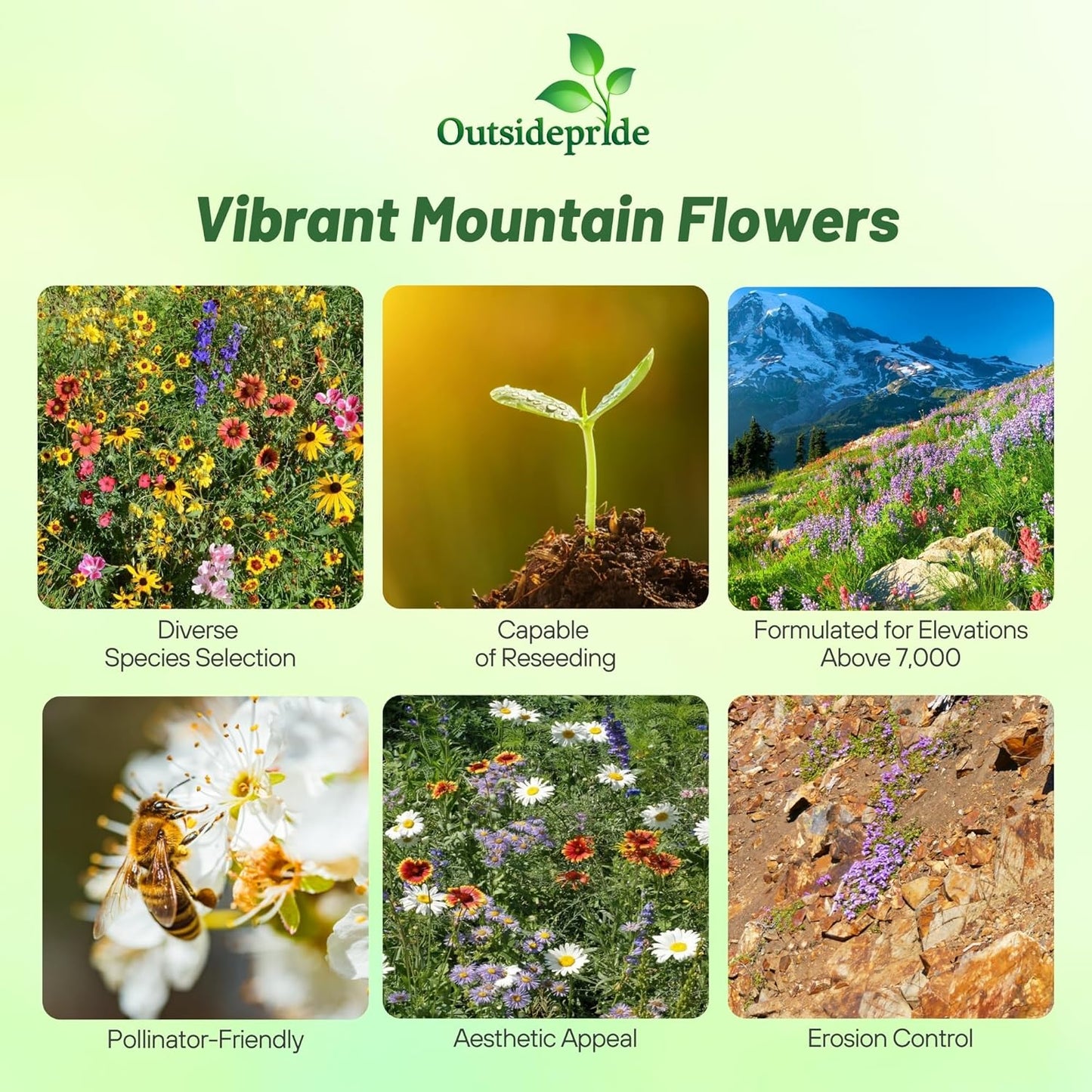 Outsidepride Mountain Wild Flower Seed Mix - 1 lb Premium Blend of Annual & Perennial Wildflower Seeds for High-Elevation in USDA Zones 3-8, Ideal for Mountain Gardens, Low-Maintenance & Easy to Grow