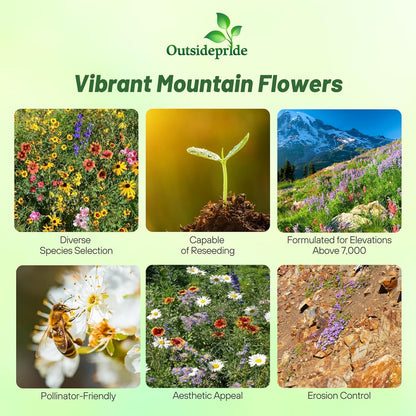 Outsidepride Mountain Wild Flower Seed Mix - 1 lb Premium Blend of Annual & Perennial Wildflower Seeds for High-Elevation in USDA Zones 3-8, Ideal for Mountain Gardens, Low-Maintenance & Easy to Grow