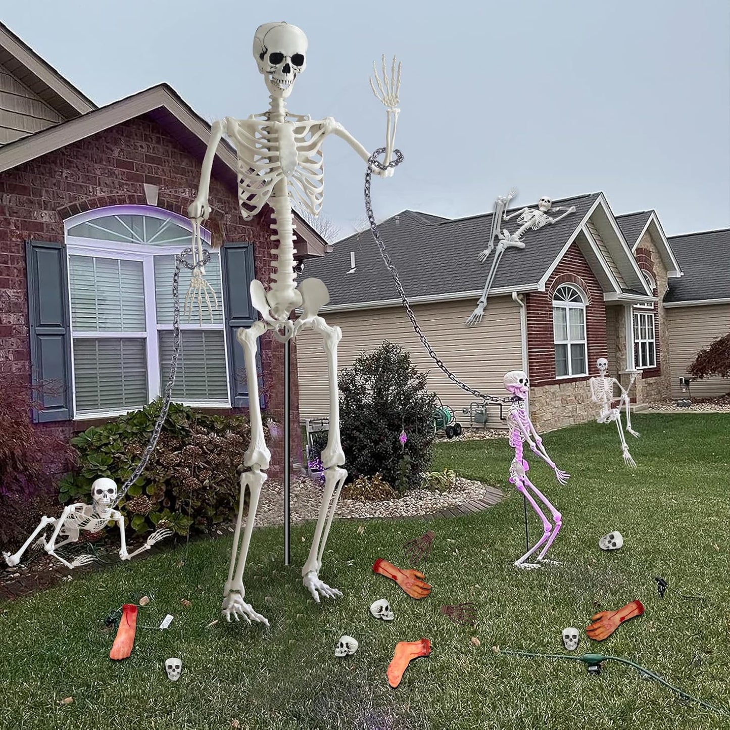 7.9ft/240cm Giant Skeleton Halloween Skeleton Life Size Skeleton Posable Skeleton Full Body Realistic Bones with Movable Joints for Halloween Outdoor Indoor Decorations