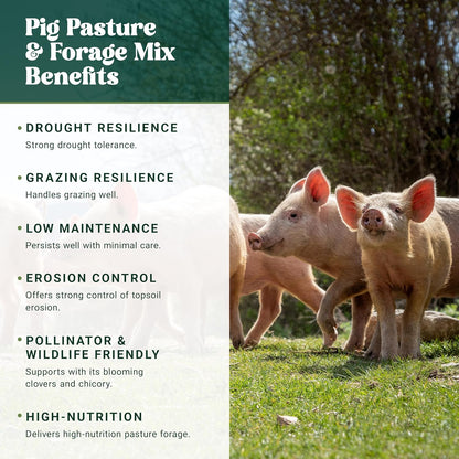 Nature’s Seed Pig Forage Mix, Pasture Grass Seed Blend, Wildlife Food Plot for Deer, Elk and More, 10 lbs