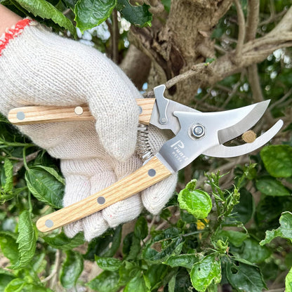 Pruning Shears, 7.5 Inch Garden Shears with 5/8 Inch Cut Capacity, Wood Clip Steel Handle, Professional Garden Clippers and Gardening Scissors, with Spare Spring