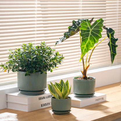 SURE YUESI Ceramic Plant Pots Set of 3, Indoor Outdoor Planters with Drainage Hole and Saucer