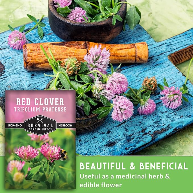 Survival Garden Seeds - Red Clover Seed for Planting - 5 Packets with Instructions to Plant & Grow a Medicinal Herb & Nitrogen Fixing Ground Cover in Your Home Garden - Non-GMO Heirloom Variety