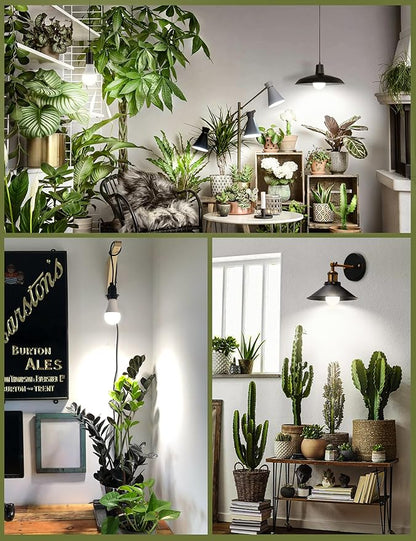 Full Spectrum A19 Grow Light Bulb, E26 Base, 9W (100W Equivalent) for Indoor Plants, Greenhouse - 6 Pack