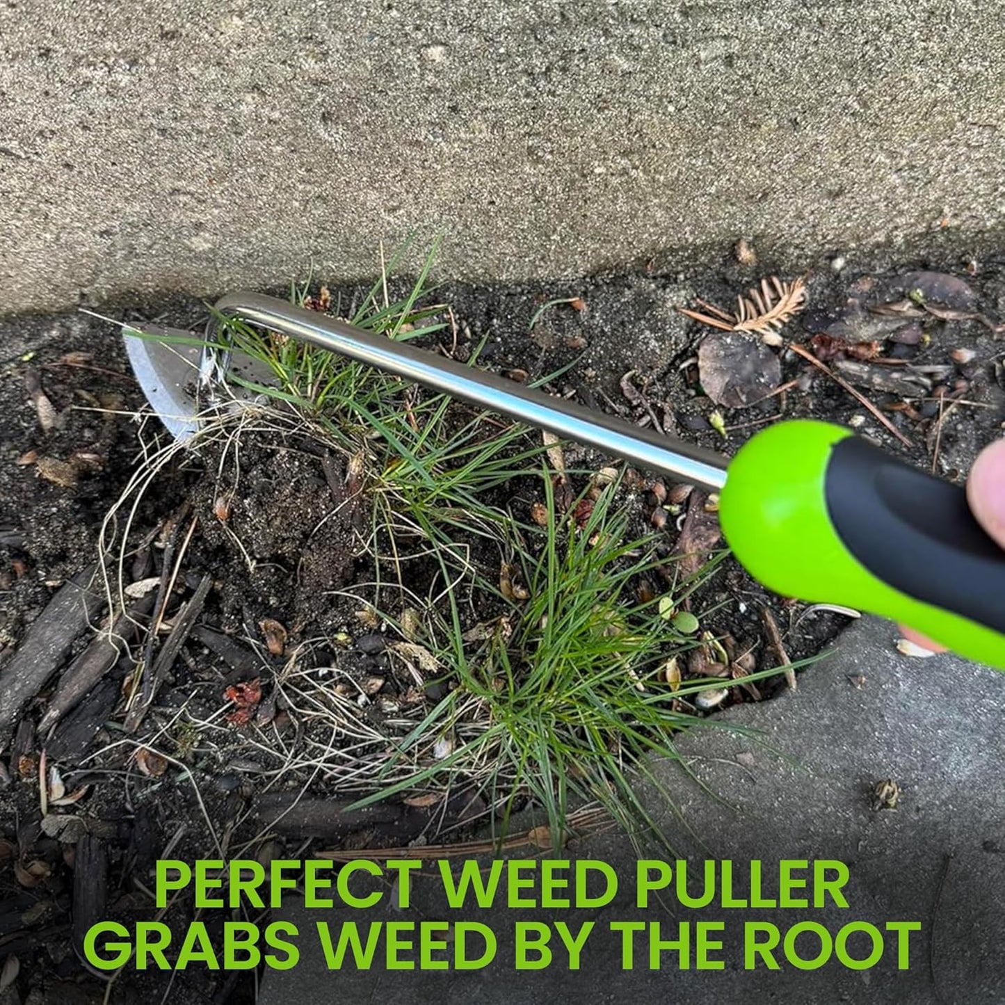 Garden Guru Root Weeder Tool with Ergonomic Handle - Stainless Steel Weed Puller for Planting, Weeding, Flower and Vegetable Care in Lawn Garden Yard | Rust Resistant (2 Pack)