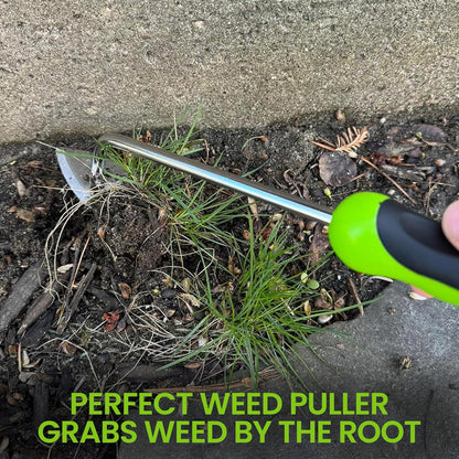 Garden Guru Root Weeder Tool with Ergonomic Handle - Stainless Steel Weed Puller for Planting, Weeding, Flower and Vegetable Care in Lawn Garden Yard | Rust Resistant