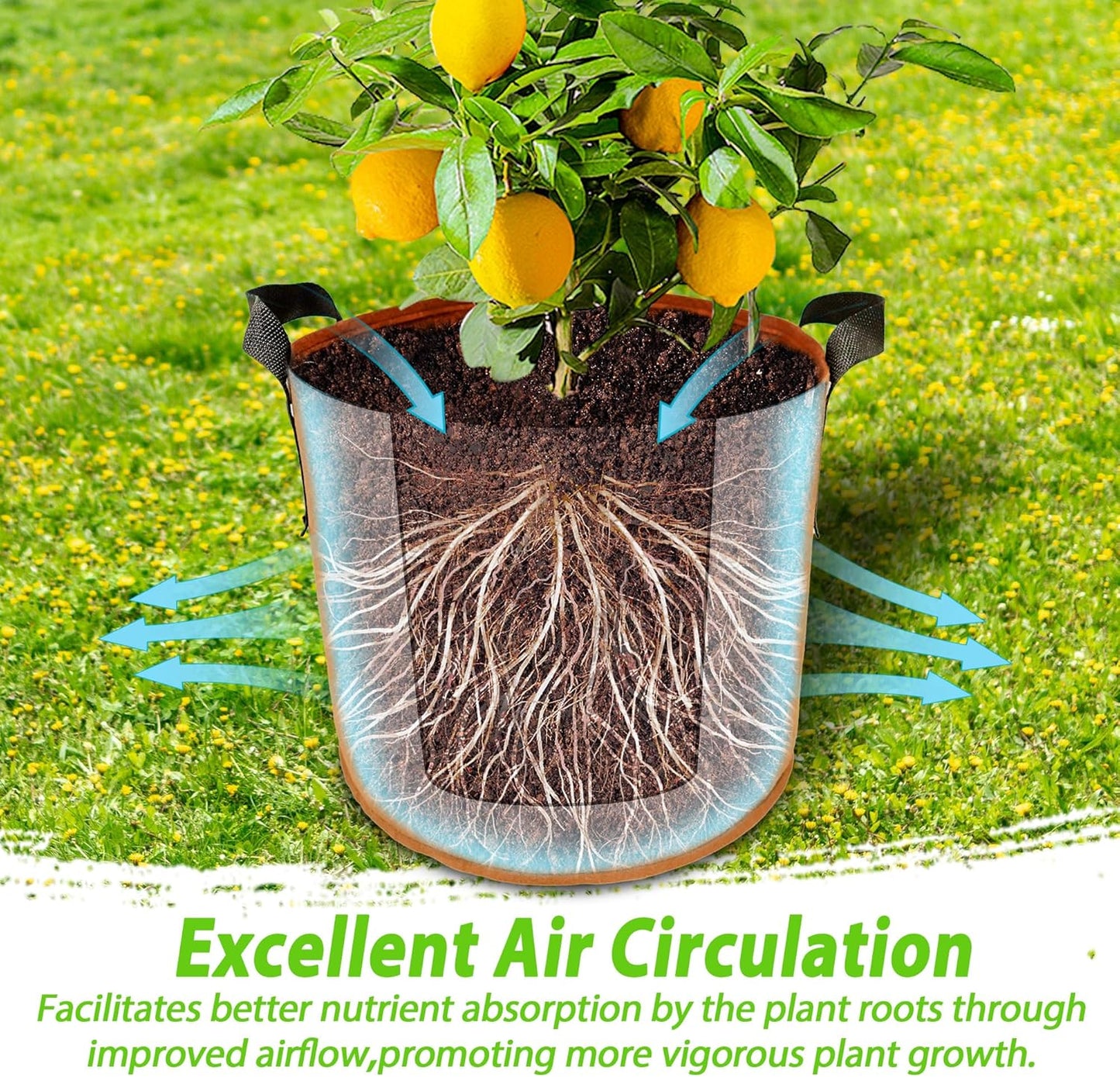 7 Pack 7 Gallon Plant Grow Bags - Mixed 7 Colors with Reinforced Handles & Aeration Design, Ideal for Tomato, Flowers & Fruits