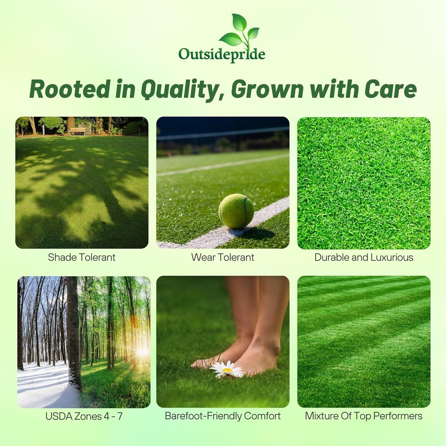 Outsidepride Showtime Perennial Lawn Grass Seed Mix - 25 lbs. Premium Blend of Creeping Red Fescue, Rye Grass & Kentucky Bluegrass Seed for Sports Fields, OptiGrowth Coated for Better Establishment
