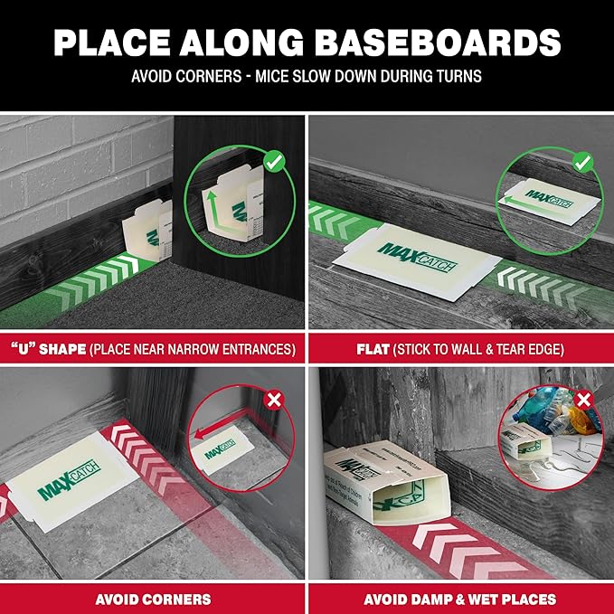 Catchmaster Max-Catch Mouse & Insect Glue Trap 36PK, Mouse Traps Indoor for Home, Sticky Pest Control Adhesive Tray for Catching Bugs, Rats & Rodents, Bulk Unscented Glue Boards