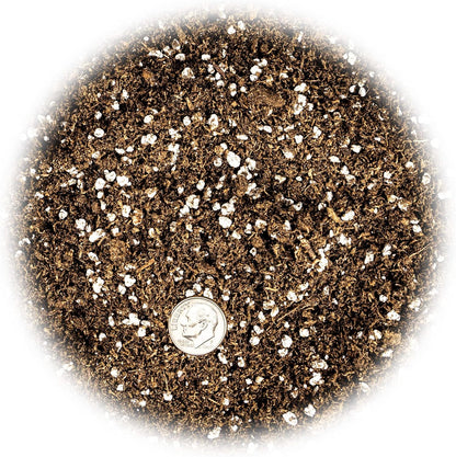 Gardenera Premium Organic Potting Soil, Succulent & Cactus Soil Mix, Fast Draining Pre-Mixed Blend - Horticultural Perlite (25%) + Peat Moss (75%) - Made in USA - 2 Quart