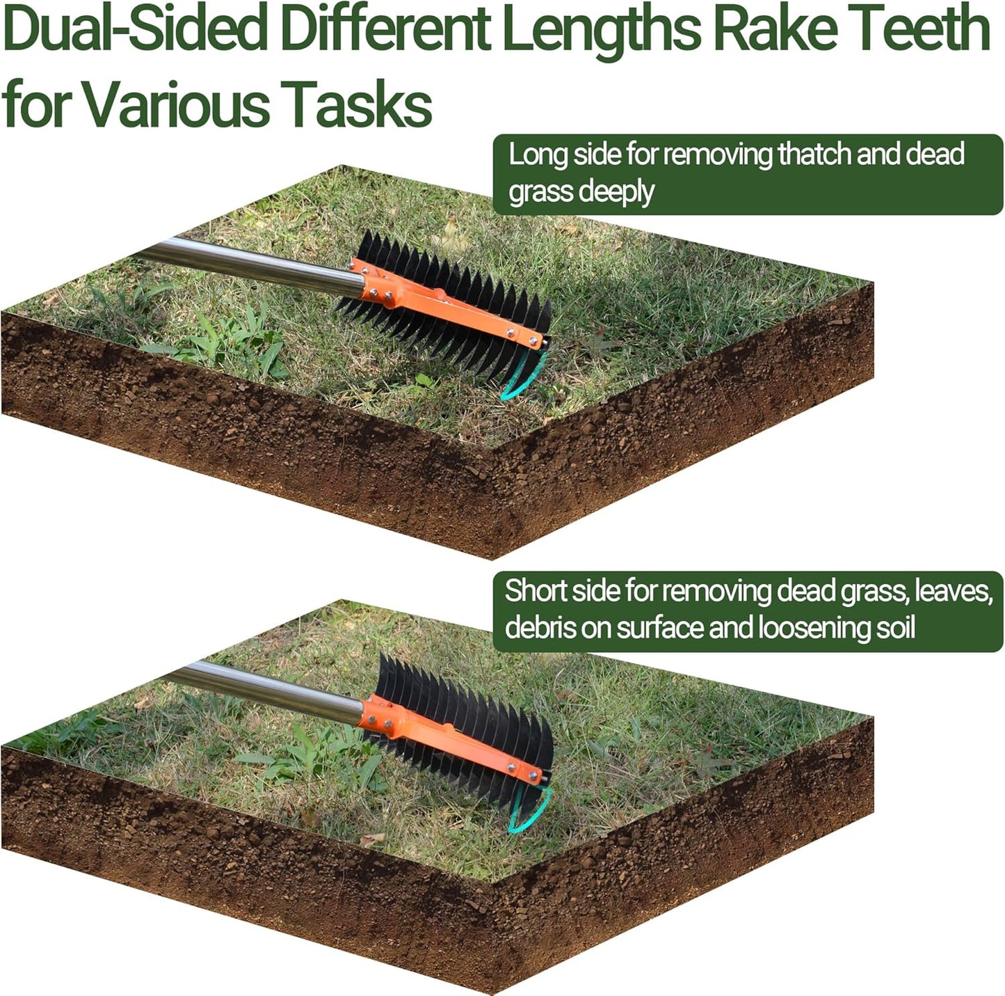 Thatch Rake for Lawns 18 Sharp Tempered Spring Steel Tines Dethatcher Rake Heavy Duty Dethatching Rakes with 62.5" Adjustable Stainless Steel Handle for Lawn Care，Dead Grass, Garden, Yard