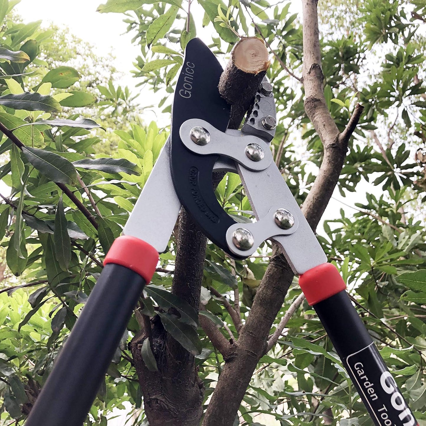 Gonicc Professional 30 inch SK-5 Steel Blade Anvil Lopper, 2-Inch Capacity, Sturdy Extra Leverage 22-Inch Handles, Garden Pruning Tree Hedge Branch Trimmer Clippers scissors.