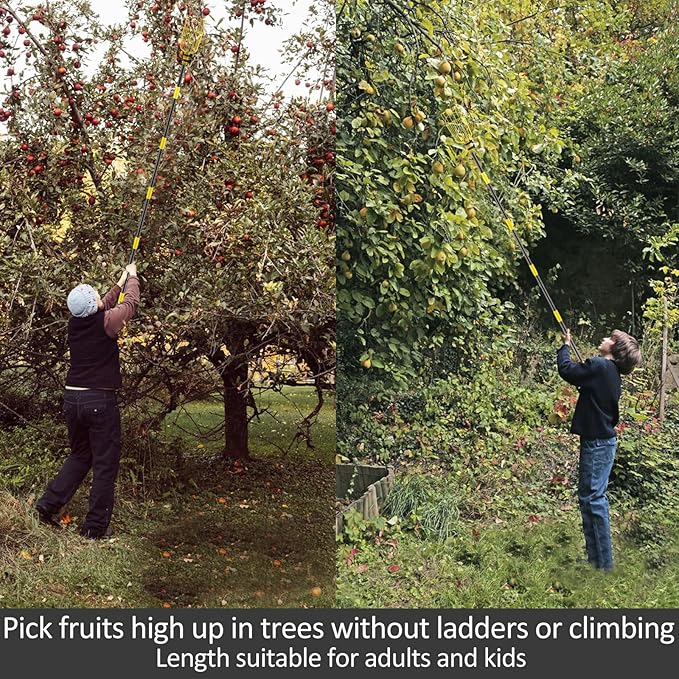 Fruit Picker Pole with Basket Telescopic Pole, 10ft Extendable Fruit Catcher Picking Pole Garden Tools for Picking Fruit from High Apple Cherry Orange Mango Fig Lemon Avocado Fruit Trees