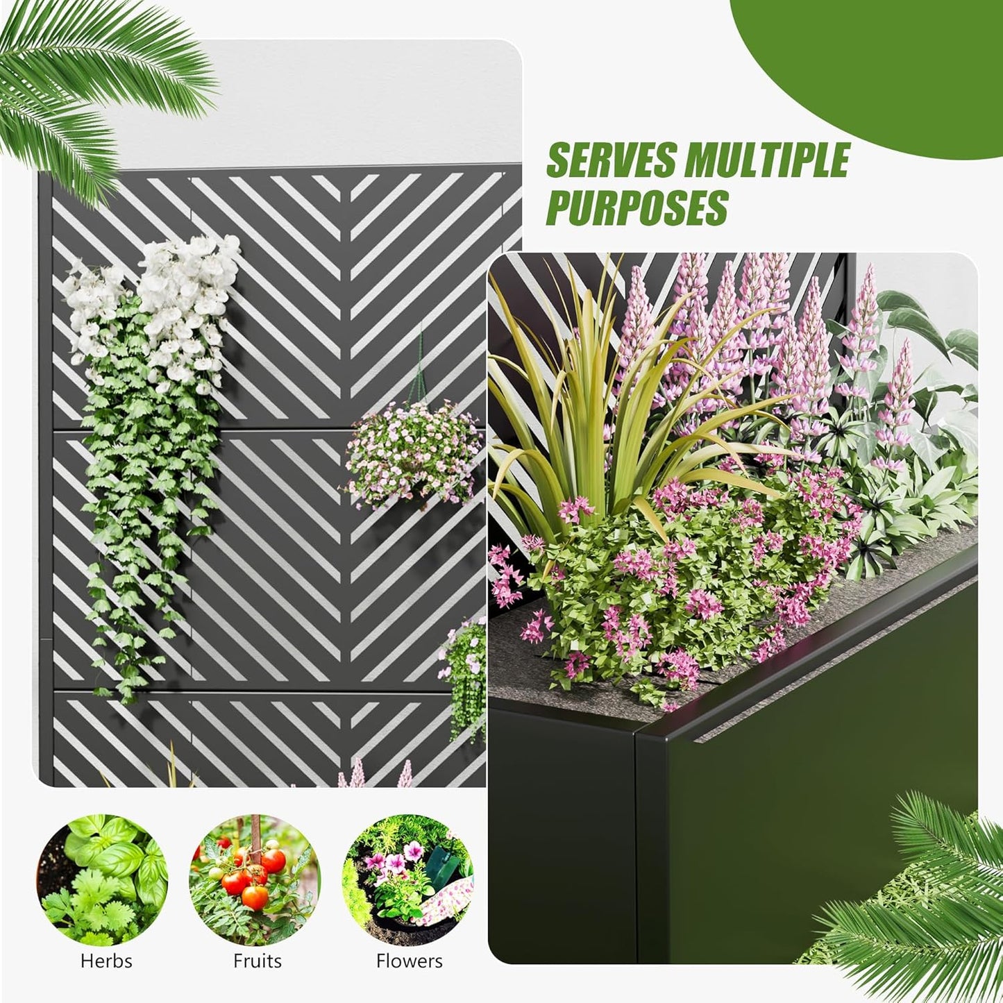 Casaphoria 72"x35" Metal Raised Garden Bed with Trellis(2 Pack), Outdoor Planter Box with Wheels & Drainage Holes for Climbing Plants, Flowers, Elevated Garden Kit with Privacy Screen, Black-Parallel