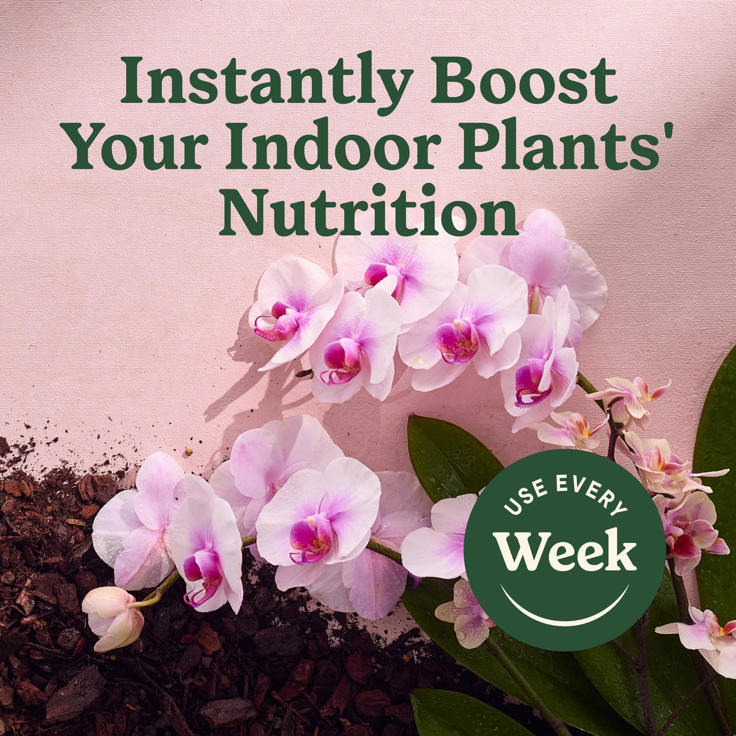 Miracle-Gro Indoor Plant Food Mist for Orchids, 8 fl. oz. (2-Pack)
