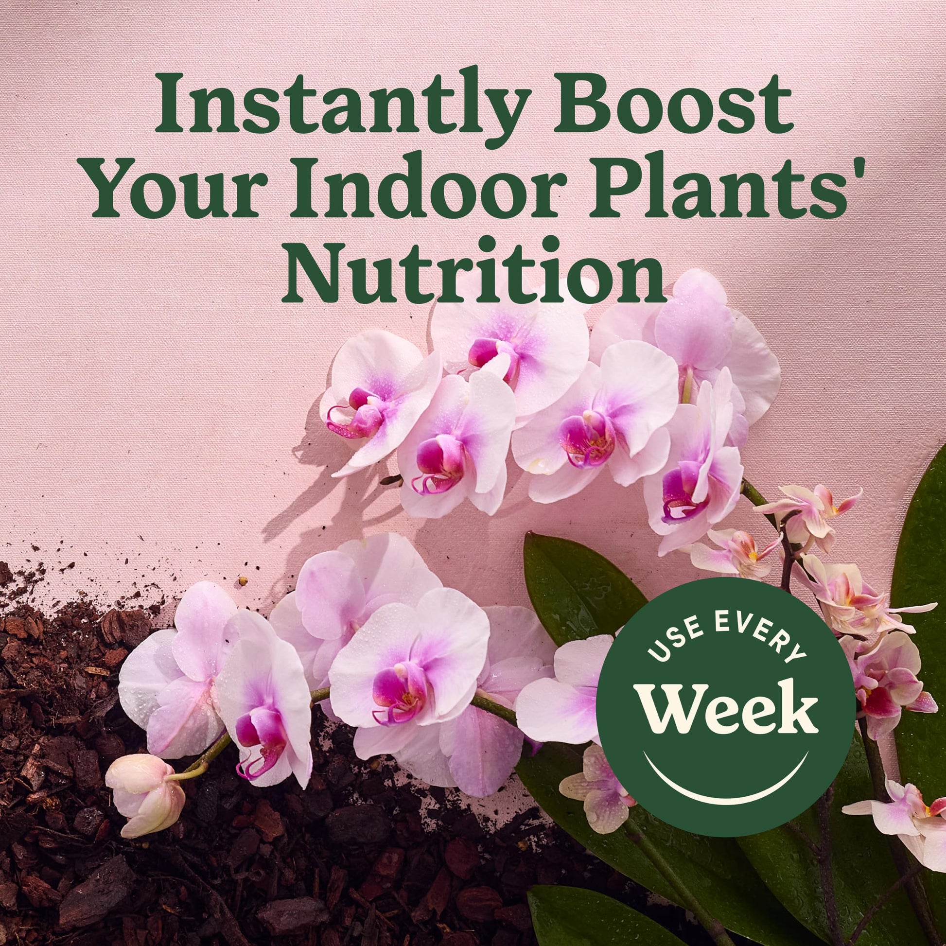 Miracle-Gro Indoor Plant Food Mist for Orchids, 8 fl. oz. (2-Pack)