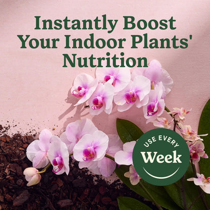 Miracle-Gro Indoor Plant Food Mist for Orchids, 8 fl. oz. (2-Pack)