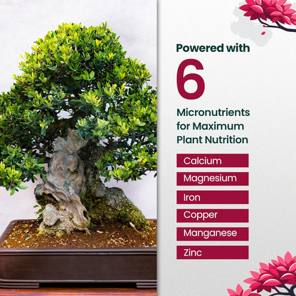 32oz Bonsai Tree Live Liquid Plant Food - Makes 64 Gallons of Bonsai Fertilizer Liquid, Premium Macronutrient Formula Enriched with Micronutrients for Healthy Roots, Branching & Foliage