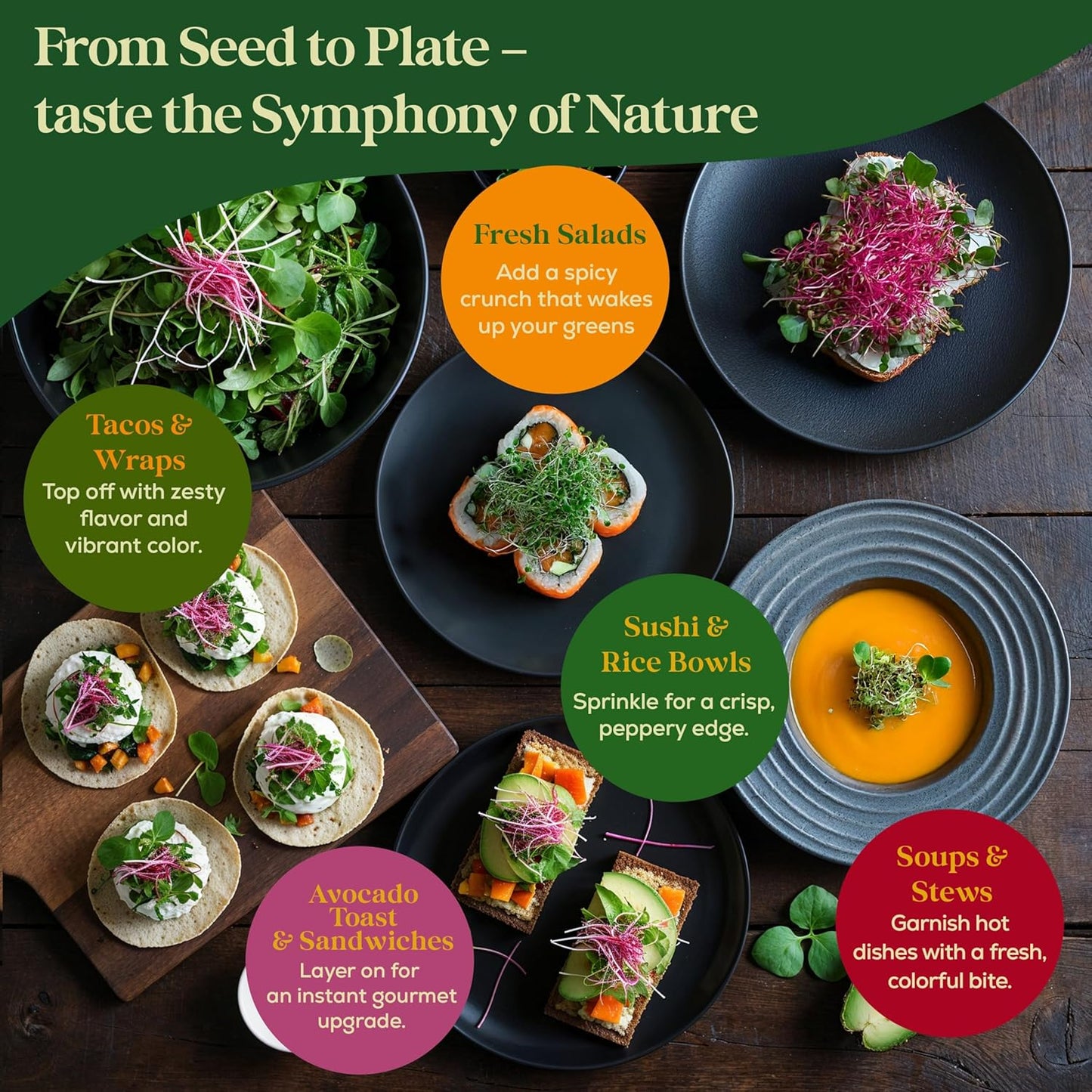 Radish Sprouting & Microgreens Seeds - 50,000 Non-GMO Heirloom Seed, 1lb Resealable Bag - High-Germination Radish Seeds for Sprouting in Jars, Soil, Hydroponics & Microgreen Trays