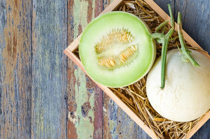 Melon Seeds Variety Pack for Planting – 4 Non-GMO Heirloom Varieties: Crimson Sweet & Sugar Baby Watermelon, Honeydew, Hale's Best Jumbo Cantaloupe – High Germination, USA-Grown Garden Fruit Seeds