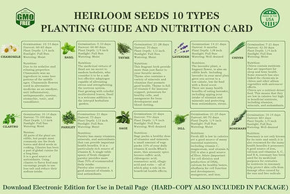 10 Herb Seeds Garden Starter Grow Kit with Green Pots, Markers, Nutritional Soil, Watering, Herb Clipper, Complete Indoor Potted Plant Growing Set for Kitchen DIY