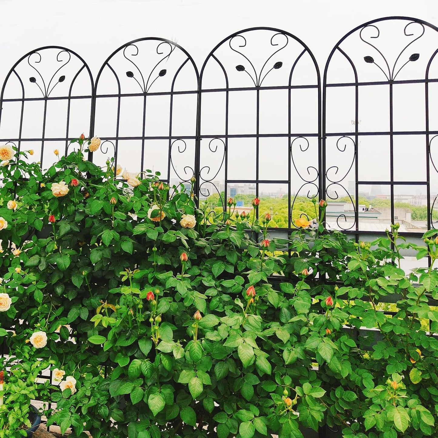 2 Pack Metal Garden Trellis 86.7" Tall Outdoor Climbing Plant Support for Roses, Flowers, Rustproof Durable Black Galvanized Tube, Lawn Garden Fence Decor Screen (2, Black curves-86.7" H)