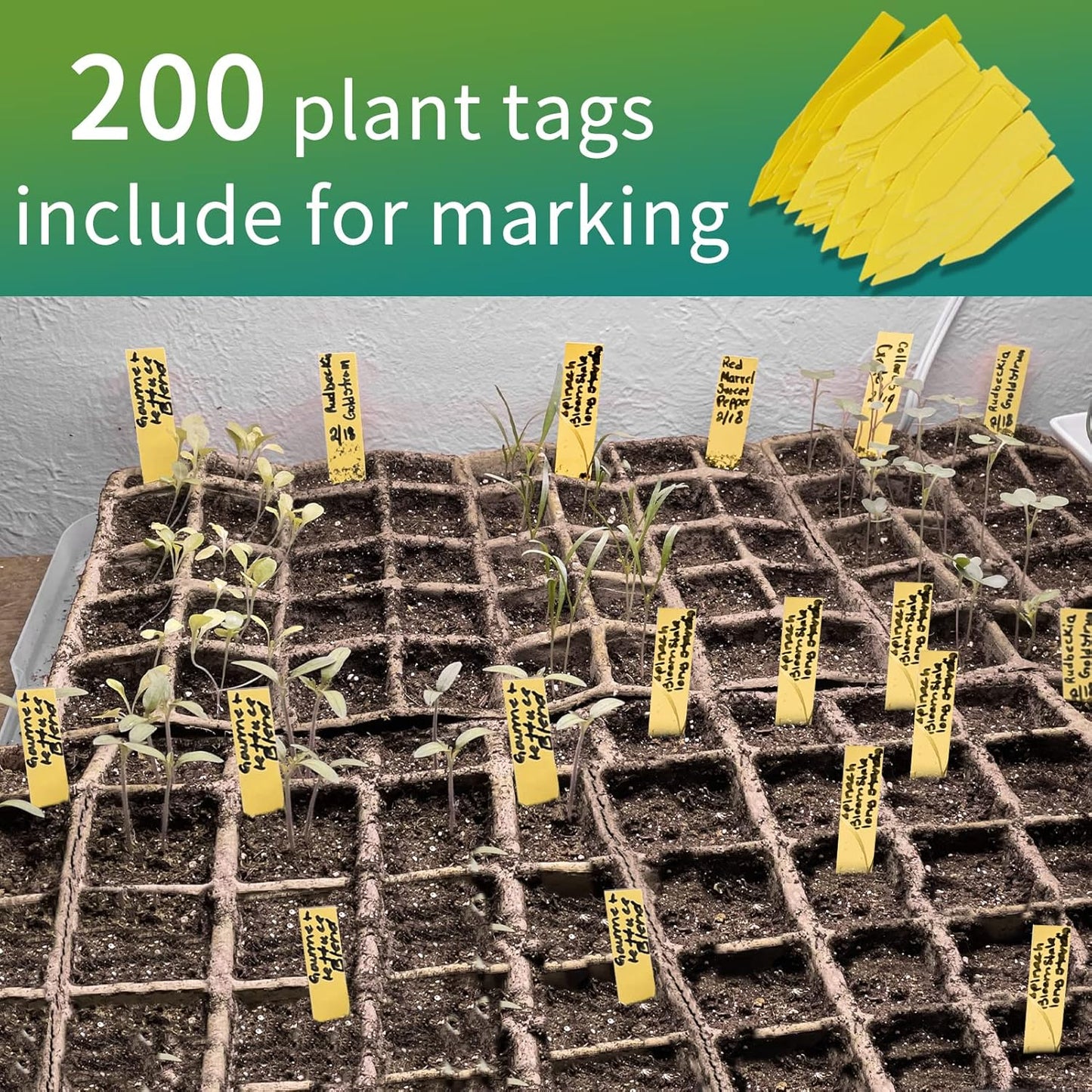 320Cells Seedling Start Trays,20 Pack Peat Pots Seedling Pots Biodegradable,Seedling Starter Kit,Organic Germination Plant Starter Trays