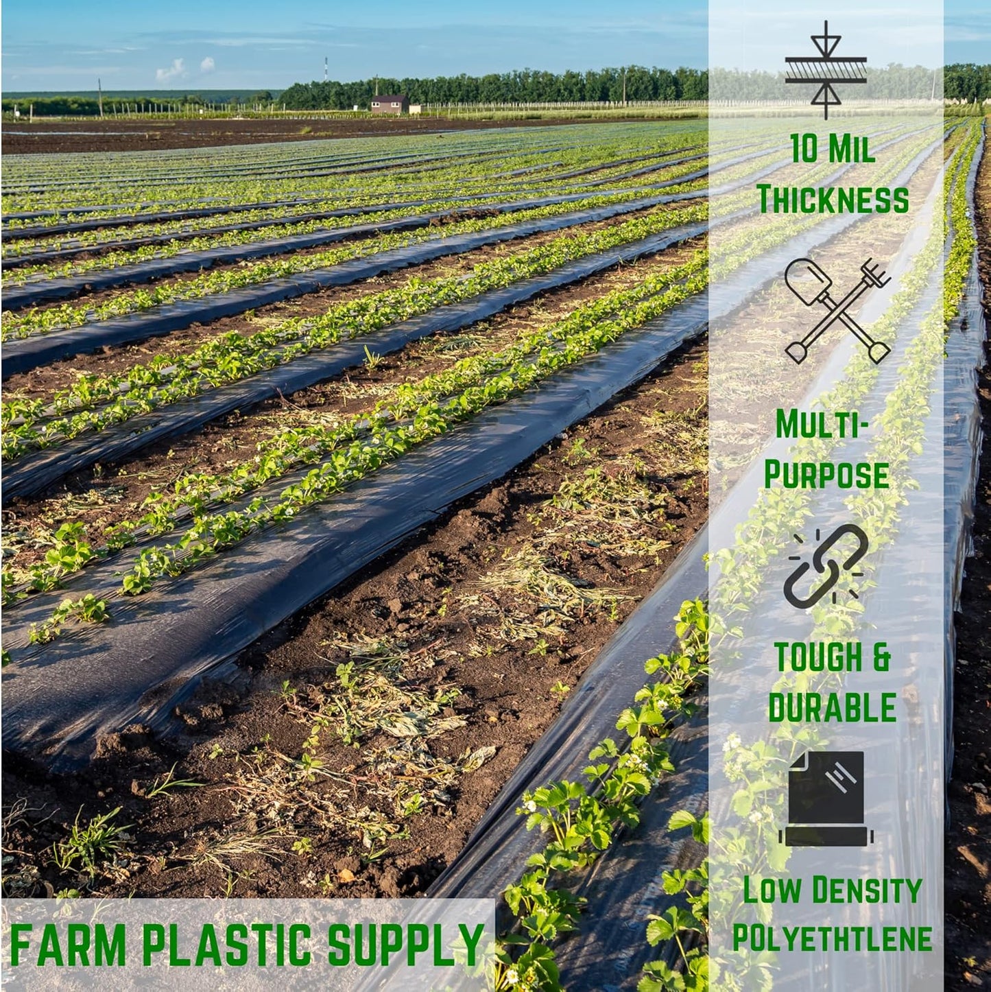 Farm Plastic Supply - Black Plastic Sheeting - 10 mil - (2.5' x 100') - Polyethylene Vapor Barrier Plastic Tarp, Black Painters Tarp, Heavy Duty Roll
