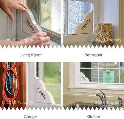Trappify Fly Trap Indoor: Window Fly Traps for Home | Fruit Fly Traps for Indoors, Gnat Traps for House Indoor | Disposable Fly Trap with Sticky Adhesive Strips | Inside Bug Catchers (4 Pack)
